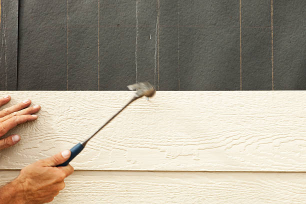 Affordable Siding Repair and Maintenance Services in Princeton, TX